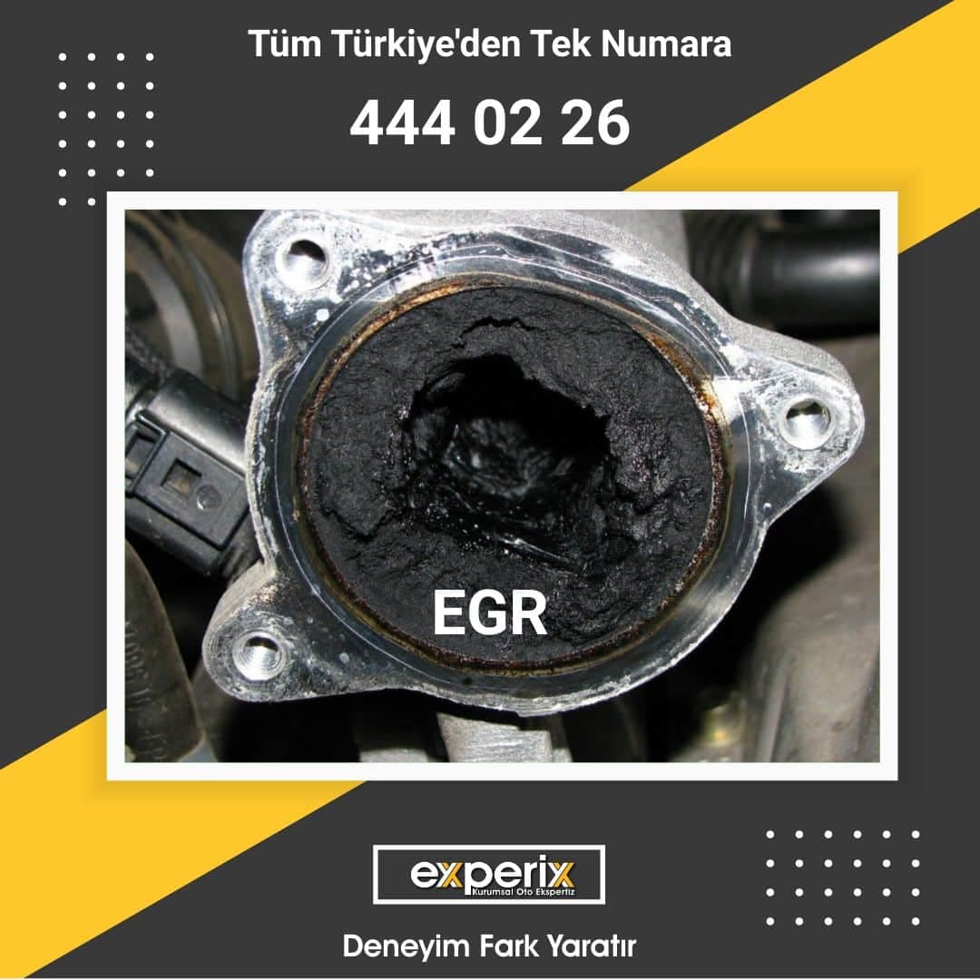 Bitlis Oto Ekspertiz
