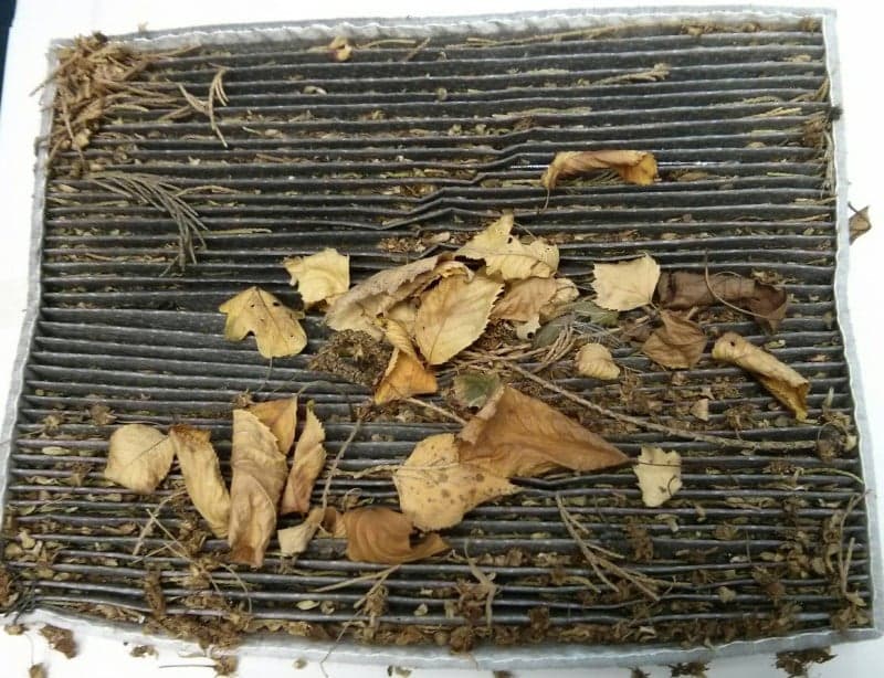 Tıkanmış Polen Filtresi